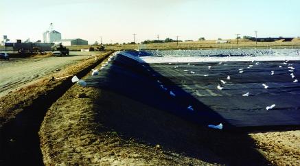 74.jpg