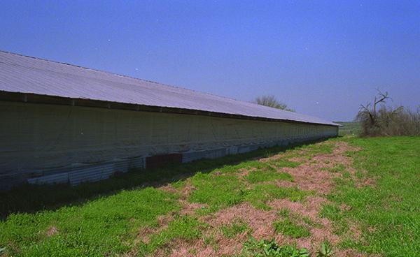 Griffolyn_Barn Curtain_Gallery_07.jpg