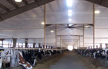 Livestock Curtains