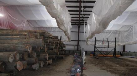 img-fumigation-3.jpg